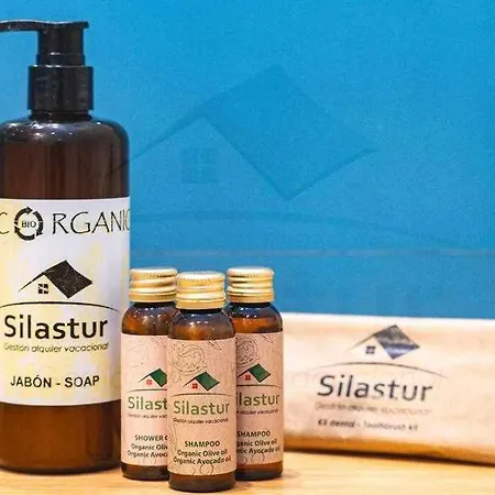 Апартаменты Terraza De Corrida Хихон