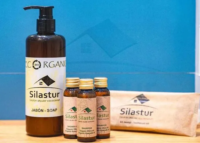 Апартаменты Terraza De Corrida Хихон