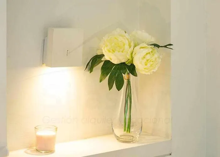 Terraza De Corrida Gijon